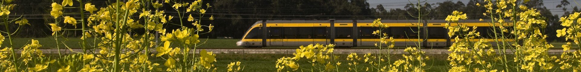 Contacts Metro do Porto